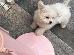 -好利来(西铁营万达广场店)