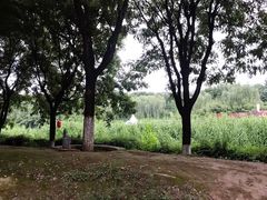 -西安汉城湖景区