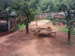 -昆明动物园