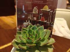 -The Lounge·大堂酒廊·北京粤财JW万豪酒店