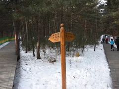 -帽儿山国家森林公园