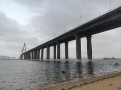 -中澳友谊花园