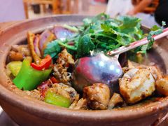 潮汕金牌鸡煲-洪大厨鸡煲(福田店)