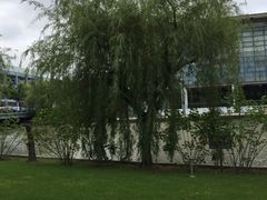 -复旦大学(张江校区)