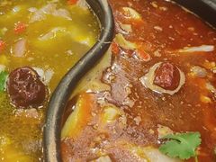 -筋头巴脑牛一锅(朝阳路总店)