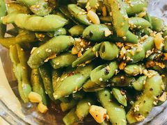 凉拌毛豆-狮龙啤酒烧烤屋(建二路店)