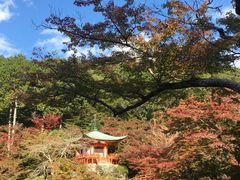 -醍醐寺