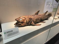 -国家自然博物馆