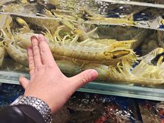 -必点海鲜·鲅鱼水饺(鞍山西道店)