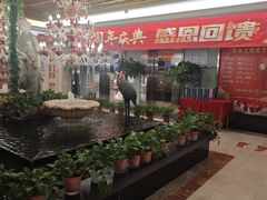 -汤泉良子.足疗按摩.SPA(中关村店)