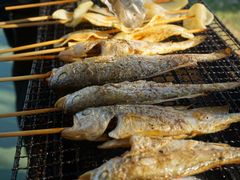 -桃园农庄·桃源宴