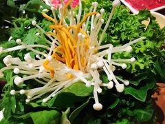 -掂档潮汕牛肉火锅(沈阳万象城店)