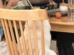 -柴の食堂·日式家庭料理·熊之肆(大学路店)