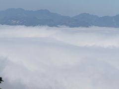 -云南屏边大围山国家公园