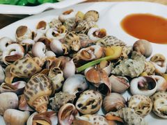 杂螺拼盘-杨记海鲜楼(三门黑金冠店)