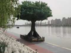 -咸阳湖景区