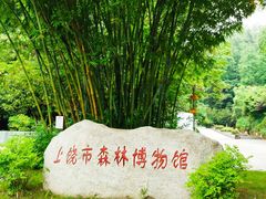 -云碧峰国家森林公园