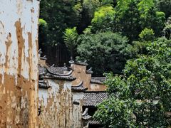 -杨家堂村