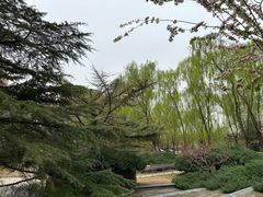 -南长河公园