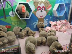 -汤姆熊欢乐世界(龙之梦店)