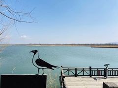 -野鸭湖国家湿地公园