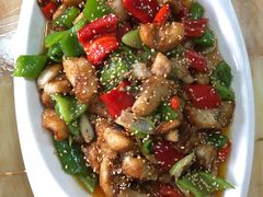 -煲来饱去冷水鱼