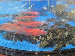 -闽南厝·闽南菜(福隆店)