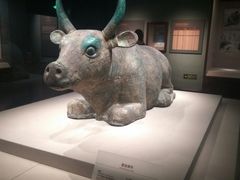 -宁夏博物馆