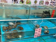 -大王岭农庄