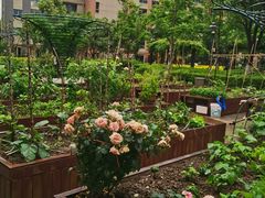 -梧桐人家中国太平国际健康颐养社区