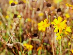 -丹东天桥沟景区