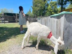 -前小桔亲子创意农场·草莓采摘·露营烧烤