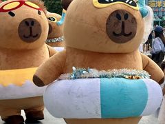 -海合安成都极地海洋公园