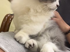 -中田健身工作室(深圳南油店)