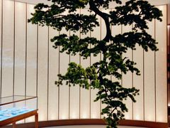 -固元堂(摩方分院)