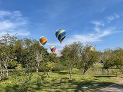 -中国科学院西双版纳热带植物园