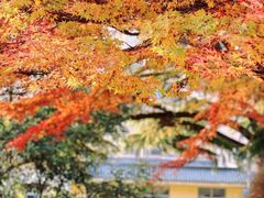 -西安市纺织公园