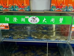 -阳澄湖大闸蟹·琼灵阁牌品牌连锁(吴中总店)