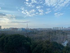 -常州环球恐龙城维景国际大酒店