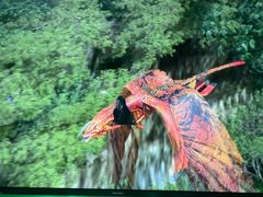 -华谊兄弟（长沙）电影小镇