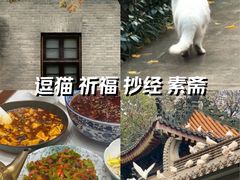 -天龙宝严素食馆(大兴善寺店)