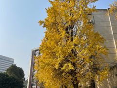 -四川大学(华西校区)