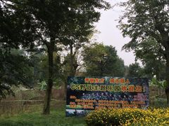 -秀丽东方