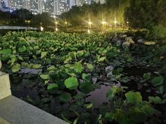 -木塔寺遗址生态公园
