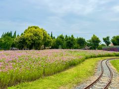 -歌斐颂巧克力小镇