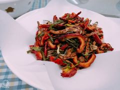 -朝郡酒家·粤菜(燕大星苑店)