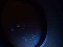 -臻品足道(后湖店)