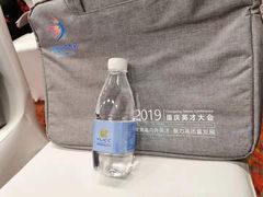 -重庆悦来温德姆酒店