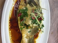 特色大黄鱼-阿杰臻选海鲜饭店(普陀山店)