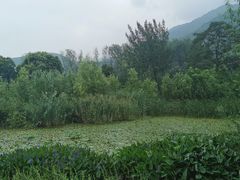 -田峪河公园
